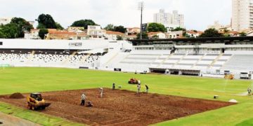 Majestoso passa por revitalização do campo