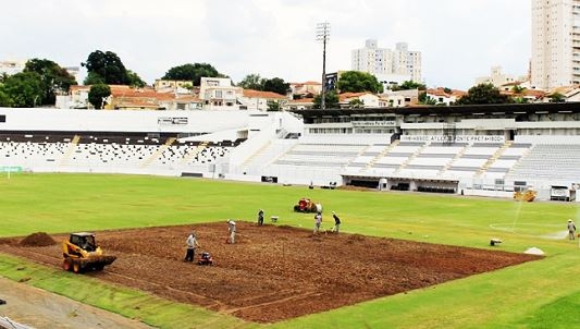 Majestoso passa por revitalização do campo