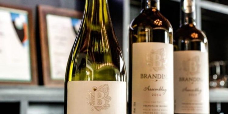 Vinho Brandina ganha centro de distribuição na RMC
