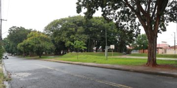 Omar Cardoso – Um homem que fazia previsões