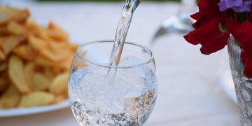 Artigo: Água mineral natural: o Brasil tem e precisa preservar! – por Cesar Dib