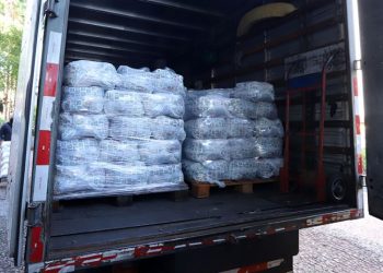 Doações de cestas básicas para a campanha Campinas sem Fome entregues na Prefeitura -  Foto: Fernanda Sunega/Divulgação PMC