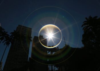 “No que acredito”: o poema de um brasileiro para o Brasil