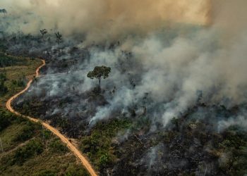 Imagem aérea de queimadas na cidade de Altamira, Estado do Pará: estudiosos apontam riscos - Foto: Victor Moriyama/ Greenpeace