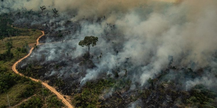 Imagem aérea de queimadas na cidade de Altamira, Estado do Pará: estudiosos apontam riscos - Foto: Victor Moriyama/ Greenpeace