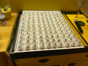 Operação contra aglomeração descobre bingo clandestino