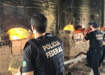 A Polícia Federal incinerou 66 kg de drogas apreendidas no fluxo de encomendas postais de Viracopos. Foto: Divulgação