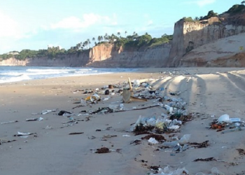 Parte do lixo acumulado em praias do Rio Grande do Norte: origem ainda é desconhecida. Foto: Divulgação