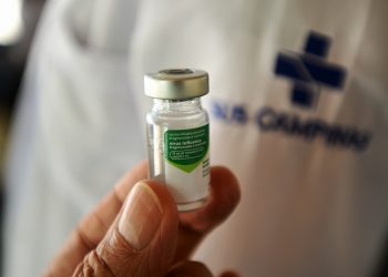 A vacina é aplicada em dose única e protege contra Influenza A (H1N1), Influenza A (H3N2) e Influenza B. Foto: Divulgação