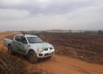 Área de 67 hectares que, segundo a Polícia Ambiental, foi consumida pelo fogo, em Jaguariúna. Foto: Divulgação \ PA