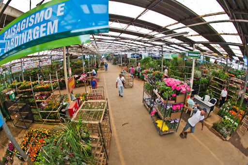 Mercado das Flores aumenta oferta para Dia das Mães