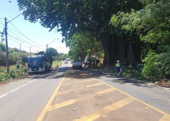 Podas e cortes de árvores na Estrada da Rhodia, em Barão Geraldo.
Foto: Divulgação