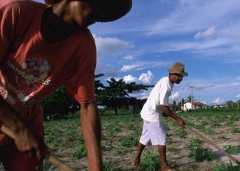 União, herança e tradições são parte das celebrações do Dia Internacional do Solstício