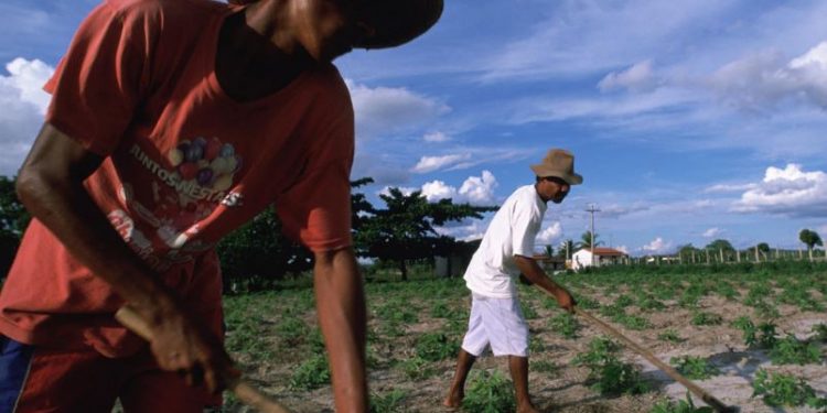 Solstícios e equinócios simbolizam a fertilidade da terra e dos sistemas de agricultura e produção de alimentos - Foto: Banco Mundial/Scott Wallace