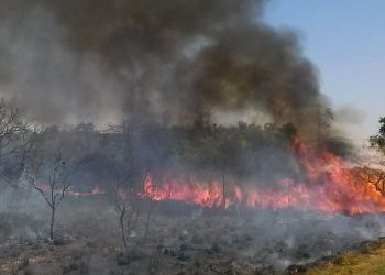 Em decreto publicado hoje (29), governo proíbe a chamada "queima controlada"  - Foto: José Cruz/Agência Brasil