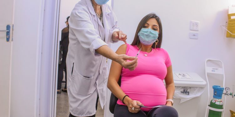 Agendamento para 
 vacinação de grávidas e puérperas começa nesta segunda-feira em Campinas. Foto: Divulgação \ Estado