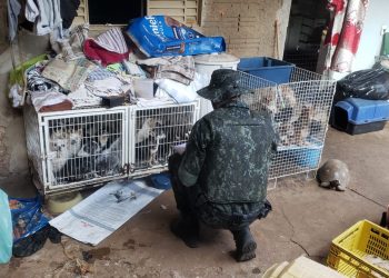 Policial Ambiental durante vistoria na casa onde os animais eram mantidos em condições insalubres. Fotos: Polícia Ambiental
