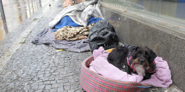Frio faz Campinas usar ônibus para acolher morador de rua