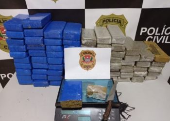 Policiais da Dise fizeram apreensão da droga em Salto - Foto: Polícia Civil/Divulgação