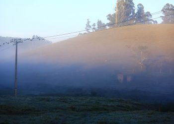 Joaquim Egídio amanheceu com névoa e vegetação em tons de branco por conta do fenômeno climático da madrugada: recorde em 21 anos Foto: Leandro Ferreira/Hora Campinas