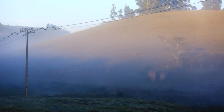 Joaquim Egídio amanheceu com névoa e vegetação em tons de branco por conta do fenômeno climático da madrugada: recorde em 21 anos Foto: Leandro Ferreira/Hora Campinas