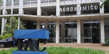 Prédio do Instituto Agronômico de Campinas - Foto: Divulgação