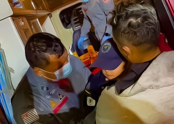 GM encontra criança desaparecida com ajuda de cachorro de estimação