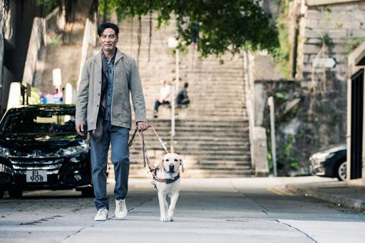 O chef Lee Bo Ting (Simon Yam) perde a visão e passa a ter ajuda de um cão-guia Fotos: Divulgação