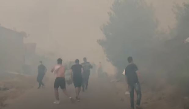 Argélia: número de mortos em incêndios sobe para 42