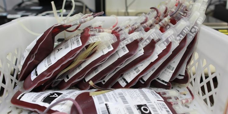 O Hemocentro da Unicamp registrou queda de 40% nas doações de sangue. Foto: Leandro Ferreira/Hora Campinas