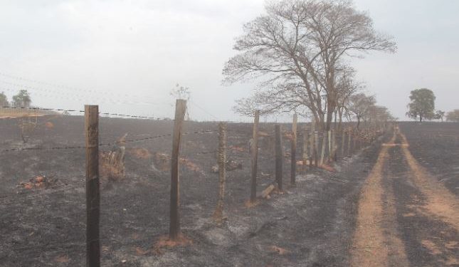 Uma das três fazendas que foram queimadas no incêndio: pasto e vegetação viraram cinzas em dois dias Foto: Leandro Ferreira/Hora Campinas