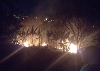 Incêndio na Fazenda Roseiras teria começado por volta das 20h. Foto: Reprodução/Redes sociais