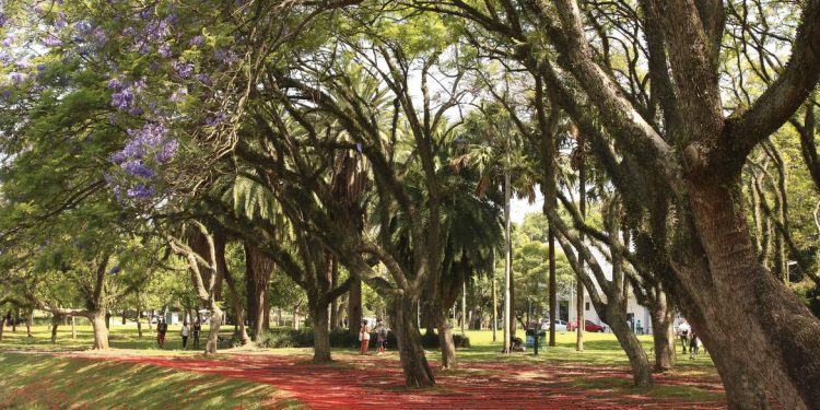 A reabertura dos parques urbanos e unidades de conservação estaduais em horário integral segue as mudanças do Plano SP. Foto: Agência Brasil