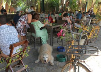 Restaurantes comemoram liberação e projetam forte crescimento no Dia dos Pais
