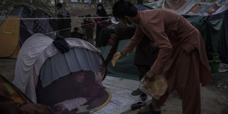 A ONU alerta que mais de 18 milhões de afegãos precisavam de ajuda humanitária urgente. Foto: Acnur/Divulgação