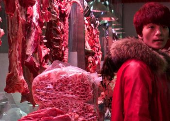 Consumo de carne selvagem aumenta risco de propagação de doenças de origem animal