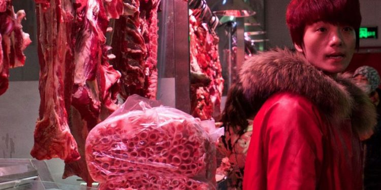 Consumo de carne selvagem aumenta risco de propagação de doenças de origem animal