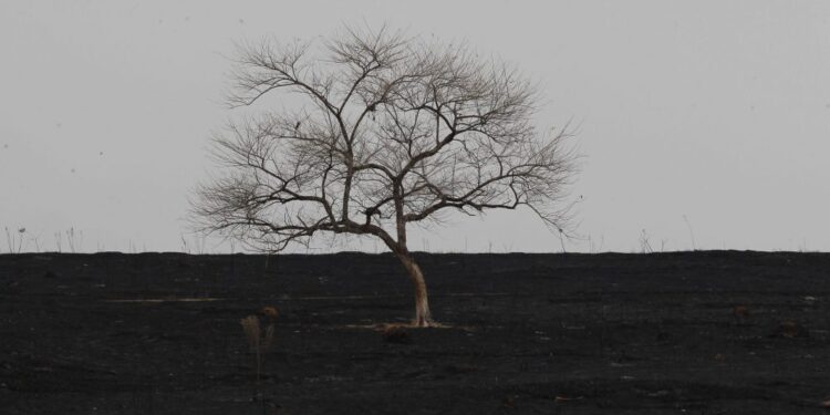 Queimadas batem recorde no Estado de SP em agosto, aponta o Inpe