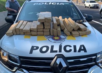 As drogas apreendidas pela Polícia Rodoviária. Foto: Divulgação