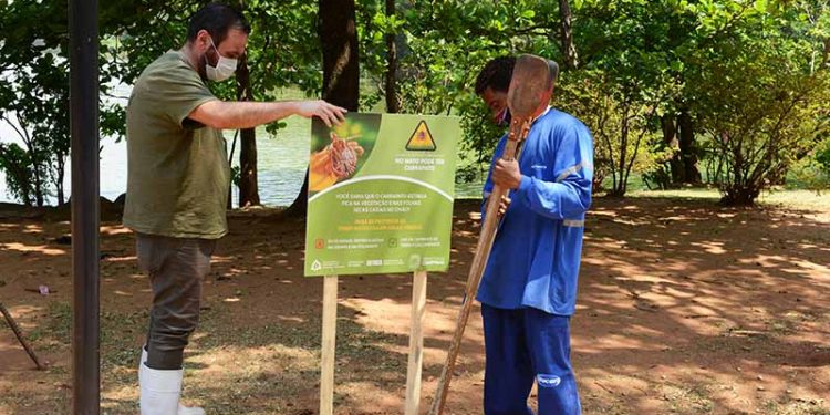 Parques de Campinas recebem placas de alerta sobre o carrapato-estrela