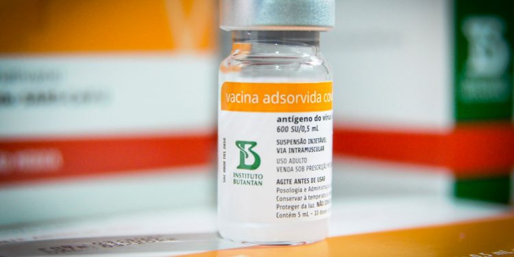 A Coronavac é a vacina indicada ao público de 3 a 5 anos.  Foto: Arquivo