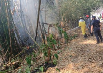 Grupo tenta controlar as chamas em vegetação em sitio em Valinhos,. Foto: Divulgação