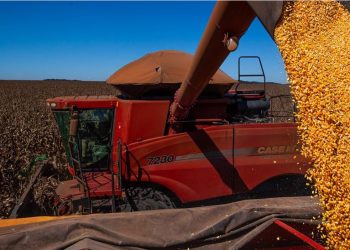 Aumento da produção de grãos contribui para o resultado recorde. Foto: CNA/Wenderson Araujo/Trilux