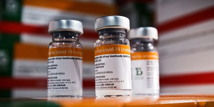 Instituto Butantan faz entrega hoje ao governo federal de 10 milhões de doses da CoronaVac - Foto: Foto: Breno Esaki/Agência Saúde DF