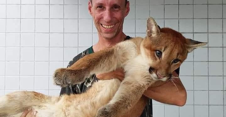 O veterinário Roberto Stevenson atua no resgate de animais selvagens em Campinas e região. Fotos: Reprodução/Facebook