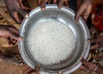 Secas no Madagáscar colocam o país africando entre os que a população enfrenta mais fome no mundo -Foto: Unicef/Safidy Andriananten/ONU News