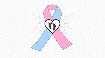 Alunas de Campinas criam site e aplicativo para discutir luto materno