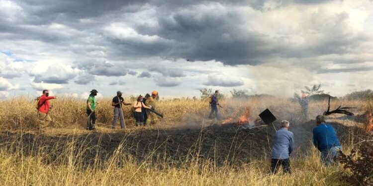 Brigadistas e voluntários tentam conter fogo em mata em Campinas. Foto: Carlos Bassan/ PMC/Arquivo
