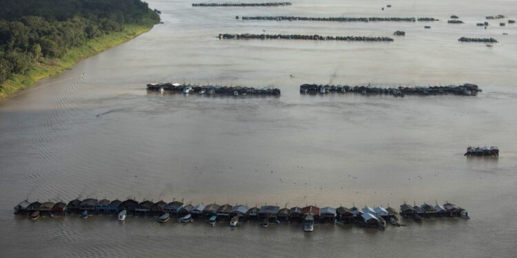 Órgãos ainda montam plano de ação contra garimpo no Rio Madeira