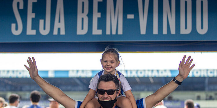 Torcedores do Avaí comemoram o acesso do time à Série A do próximo ano. Foto: Divulgação